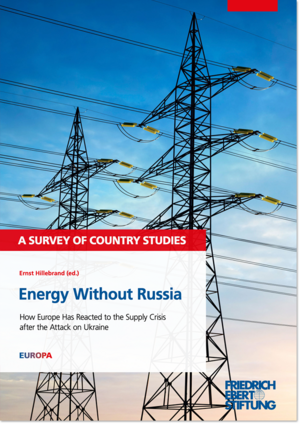 Energy Without Russia - A Survey of Country Studies