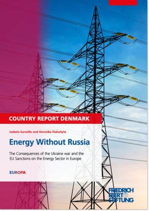 Energy without Russia: Country report Denmark