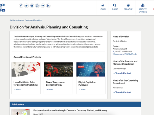 Division for Analysis, Planning and Consulting
